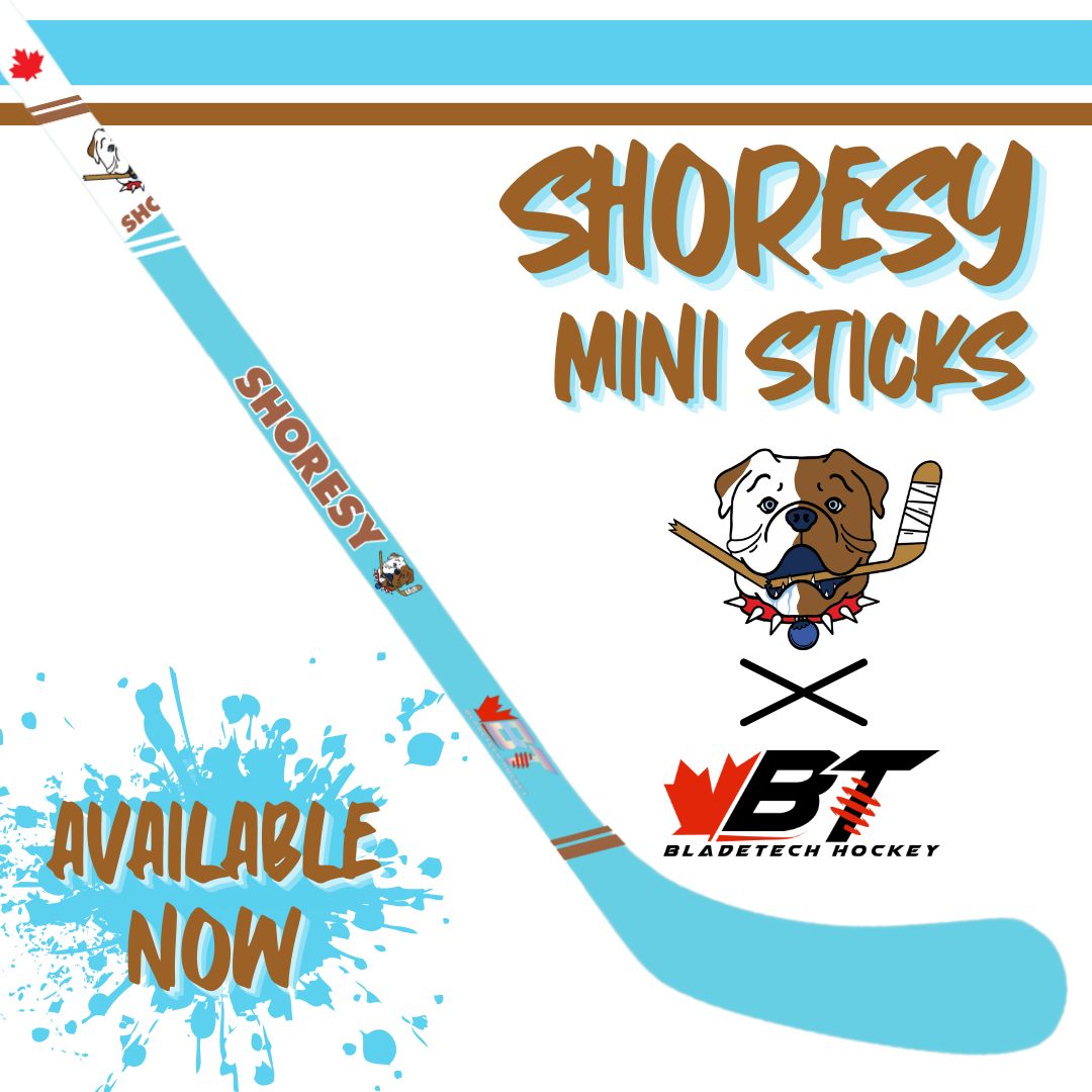 Shoresy X Bladetech Hockey Mini Stick - Limited Edition – Bladetech ...